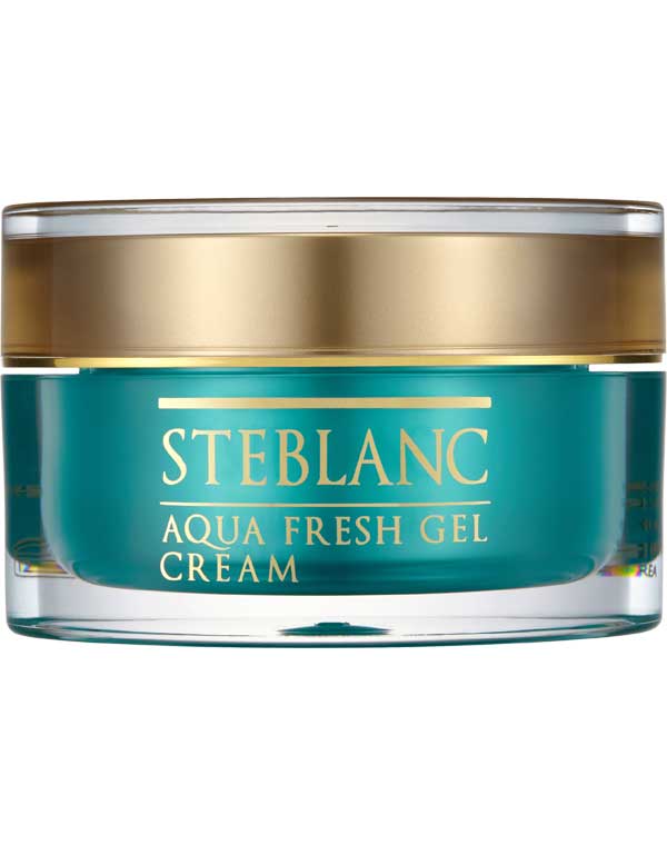 Увлажняющий крем-гель для лица Aqua Fresh Gel Cream Steblanc 1032376 - фото 1