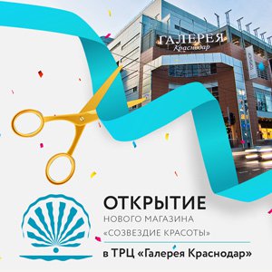 Созвездие екатеринбург. Созвездие красоты Краснодар. Галерея Краснодар логотип. Созвездие красоты Омск. Магазин Созвездие Дзержинск.